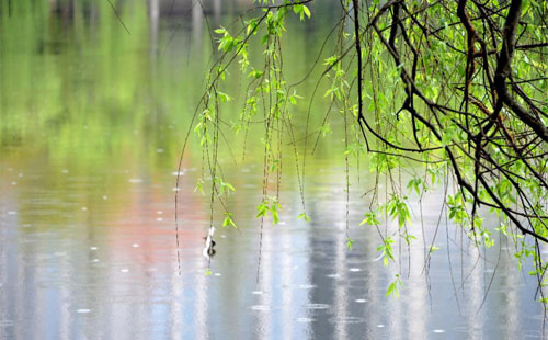 雨中的守护者 —— 天峻珍珠棉的应用实践 雨中的守护者 —— 天峻珍珠棉的应用实践